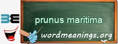 WordMeaning blackboard for prunus maritima